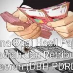 Kurangnya Transparansi dalam Penggunaan Dana DBH PDRD di Desa Srikamulyan
