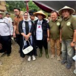 Panen Perdana Sorgum di Karawang, Dukung Ketahanan Pangan dan Program Asta Cita