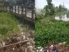 Diduga diabaikan PJT II Seksi Rengasdengklok, Tumpukan Eceng Gondok dan Sampah di Irigasi Karawang Utara Disorot KMG