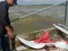 RSUD Cabangbungin Diduga Hina Simbol Negara, Bendera Merah Putih Dibuang Sembarangan