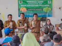 Petani Tanjungjaya Ikuti Bimtek GAP untuk Tingkatkan Produksi Mangga Karawang
