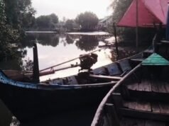 Fenomena Aneh di Bekasi: Banjir Meluas, Sungai di Muaragembong Justru Mengering