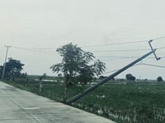 Bahaya Mengintai! Tiang Listrik di Jalan Ciptamarga–Medangasem Pertamina Nyaris Tumbang