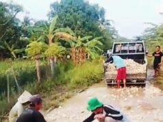 Rusak Bertahun-tahun, Jalan Tanjung Nuhun Diperbaiki Warga Sendiri — Pemkab Bekasi ke Mana?