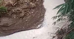 PT Pindo Deli 4 Diduga Cemari Sungai Cigembol, GMPI: Ini Bukan Kelalaian, Tapi Kejahatan