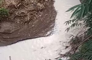 PT Pindo Deli 4 Diduga Cemari Sungai Cigembol, GMPI: Ini Bukan Kelalaian, Tapi Kejahatan