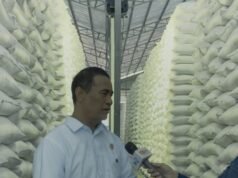 Mentan Andi Amran Sulaiman Sidak Gudang Beras Karawang, Stok Nasional Diklaim Aman Hadapi El Nino