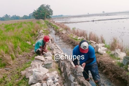 Diduga Gunakan Batu Kali Bekas, Proyek P3-TGAI Rp195 Juta di Bekasi Disorot