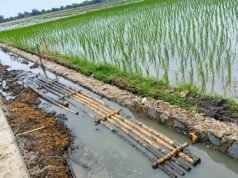 Diduga Luput dari Pengawasan, Proyek P3-TGAI Rp195 Juta di Sukawangi Disorot, Pekerjaan Diduga Tak Sesuai Spesifikasi
