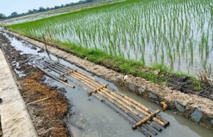 Diduga Luput dari Pengawasan, Proyek P3-TGAI Rp195 Juta di Sukawangi Disorot, Pekerjaan Diduga Tak Sesuai Spesifikasi