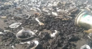 Pesisir Pantai Cemarajaya Diterjang Oil Spill, Siapa Sumbernya? DLH Karawang Masih Menunggu Hasil LAB