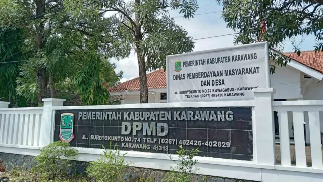 DPMD (1)