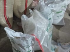 Beras Bantuan Pangan Dijual Kembali, KPM Keluhkan Bau Apek, Perum Bulog Karawang Masih Bungkam