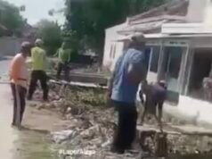 Swasembada Pangan Digaungkan, Irigasi Kedungjaya Malah Dipenuhi Eceng Gondok dan Sampah