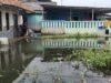 Hampir Dua Bulan Debit Irigasi Tinggi, Warga Kutakarya Desak PJT II Bertindak Sebelum Banjir