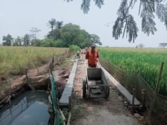 JUT Sukaringin Mulai Dikerjakan, Papan Informasi Belum Terlihat: Apa Kata Ketua Kelompok Tani?