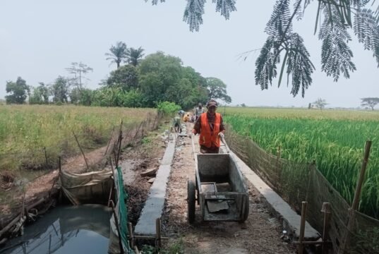 JUT Sukaringin Mulai Dikerjakan, Papan Informasi Belum Terlihat: Apa Kata Ketua Kelompok Tani?